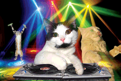 Yeaaaa, Crazy Cat Party... This GIF is meant to represent the roads at night, but it's mostly here because I love it. (giphy.com)