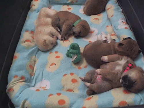 All the hospital staff at Nap'o'clock. (giphy.com)